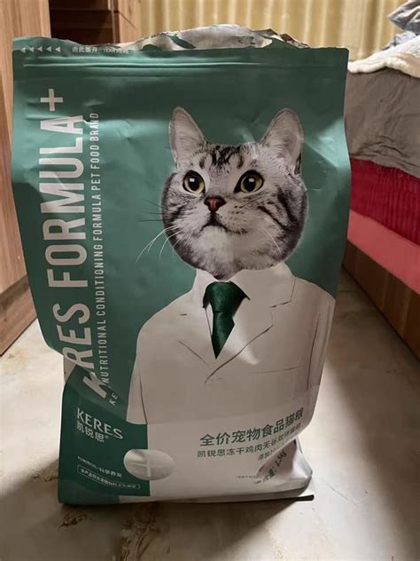 养猫必看！凯锐思猫粮告诉你，优质猫粮和劣质猫粮的区别 - 知乎