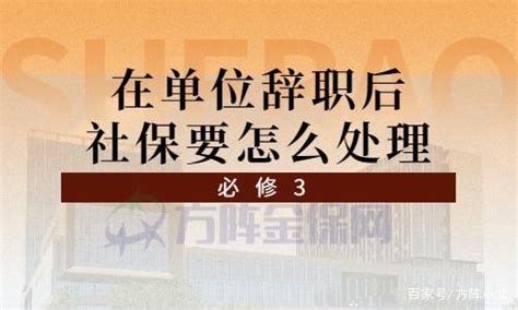 企业社保代办公司和自己交有什么不同