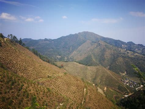 黔东南州有两个中央林业科技推广示范项目通过省林业局验收 _www.isenlin.cn