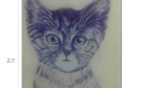 猫的素描头像图片