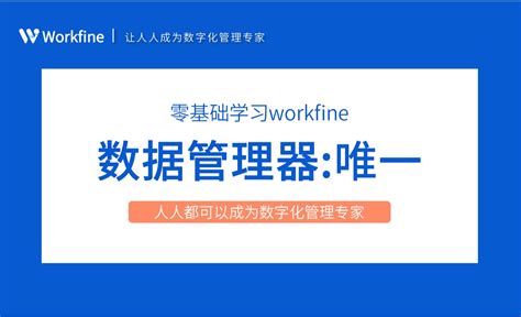 数据管理器之唯一-Workfine零代码企业办公系统2.3 - 办公职场教程_Workfine - 虎课网