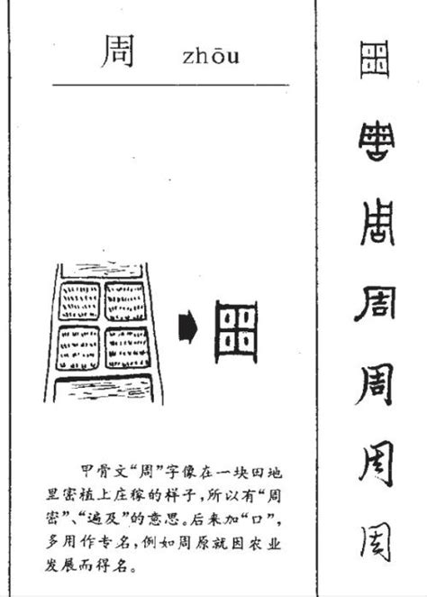 中国汉字的起源与演变