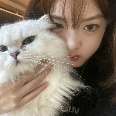 温柔猫女生头像