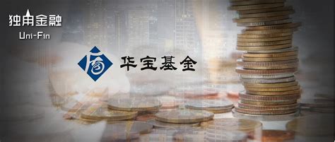 华商主题精选混合基金最新净值跌幅达3.76％_经济_行业_个股