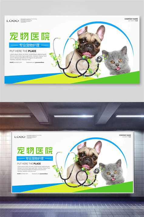 清新宠物医院宣传海报