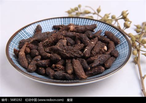 香附的图片