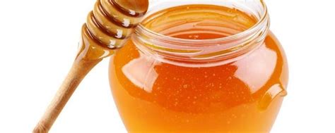 蜂蜜怎么喝最有营养？ - 蜂蜜知识 - 酷蜜蜂
