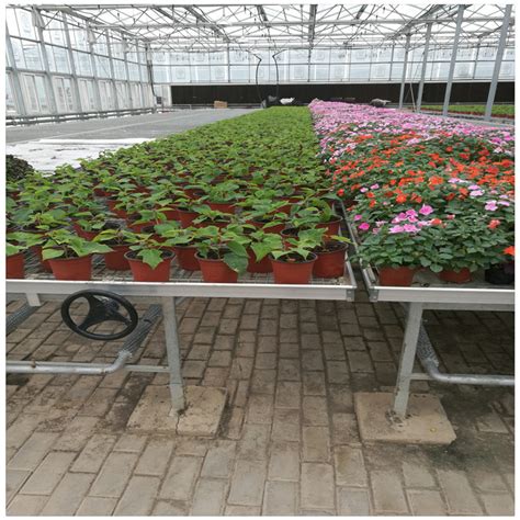 花卉种植移动苗床供应 温室大棚热镀锌网格活动苗床生产规格齐全-阿里巴巴