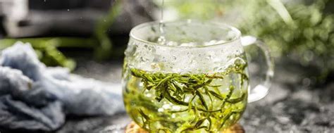 绿茶的冲泡小技巧- 茶文化网