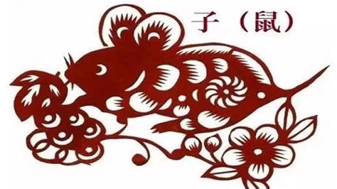 天马行空猜一生肖，十二生肖中国的纪年符号-生肖-荣耀易学