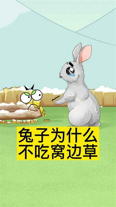兔子不吃窝边草_360百科