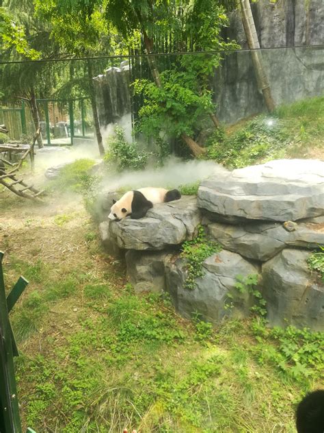 2020南京红山动物园免费开放日是哪天 预约方式_旅泊网