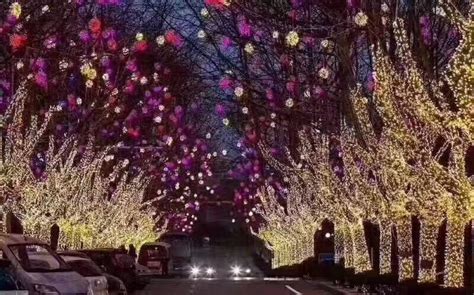 灯光长廊-灯光圣诞树-树木美陈亮化设计安装_参数_图片_机电之家网