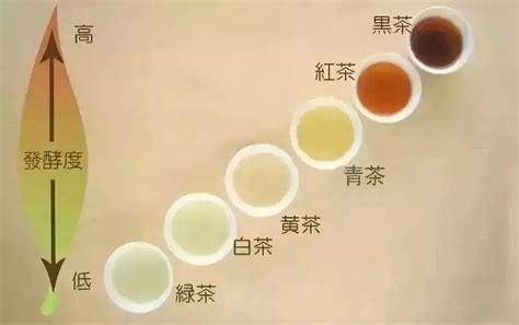 中国六大茶类知识（收藏版）