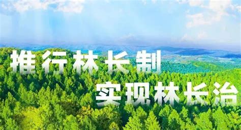 安徽滁州创新推进新一轮林长制改革 - 安徽产业网