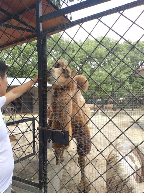 2024武汉动物园游玩攻略,门票价格实惠，动物多，值得游览 【去哪儿攻略】