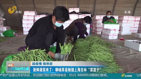 聊城面积最大、人口最多的县，GDP超213亿，是中国蔬菜第一县_莘县