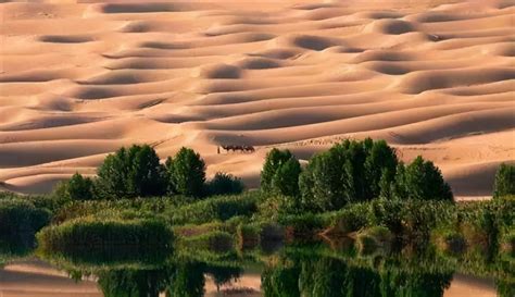 巴丹吉林沙漠风光 - 美景图集 - 内蒙古旅游网-资讯、景点、服务、攻略、知识一网打尽