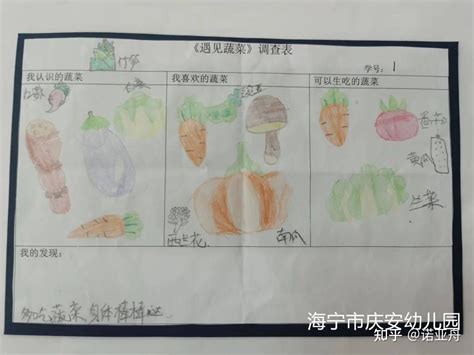 蔬菜的奇妙世界 | 海宁庆安幼儿园中班课程故事 - 知乎