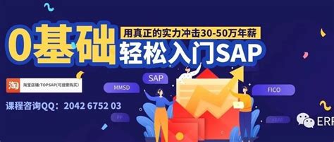 山东专注SAP实施维护服务 服务为先「上海速合信息科技供应」 - 水**B2B