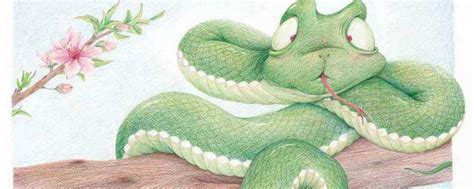 宝格丽SerpentiForm灵蛇传奇展览二刷灵蛇传奇🐍🐍🐍 世纪