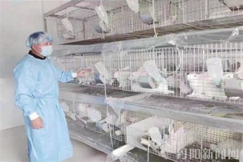广东省医学实验动物中心 | 豚鼠、兔