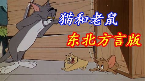 猫和老鼠（搞笑方言版），小精豆父子情深_腾讯视频