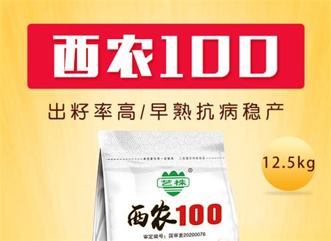 西农100（12.5kg）-小麦种子-豫北种业_火爆农资招商网【3456.TV】