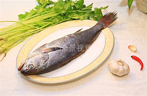 米鱼素材网,清蒸米鱼,知鱼素材网_大山谷图库