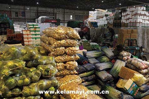 九鼎批发市场一个月进购蔬菜、水果2000吨--克拉玛依网