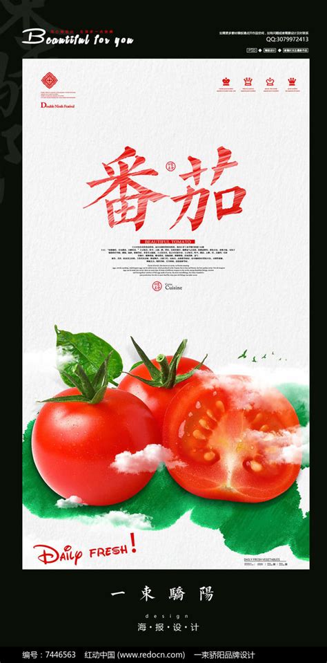 简约新鲜番茄宣传海报设计PSD图片下载_红动中国