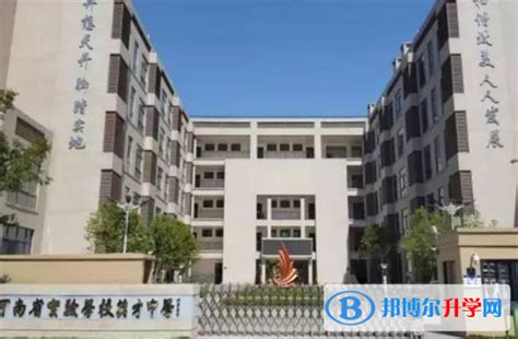 河南省实验小学（鑫苑校区）2022年招生计划_双语_高年级_教学班