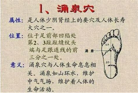 涌泉穴位置图图片