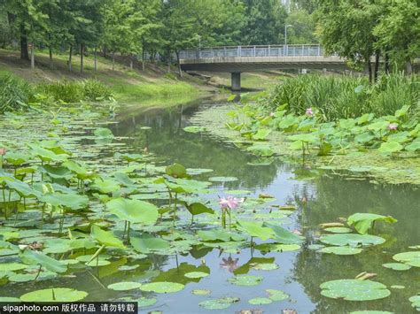 【奥森公园生态摄影图片】北京奥森公园生态摄影_天地_太平洋电脑网摄影部落