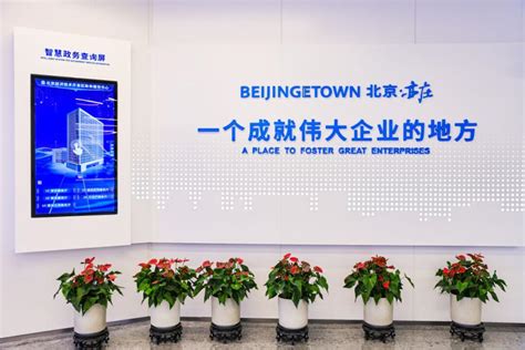 北京亦庄打造全国首个新生代政务服务综合体_京报网