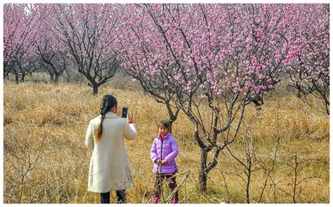 安徽萧县圣泉寺,历史古迹景区,旅游景点,摄影,汇图网www.huitu.com