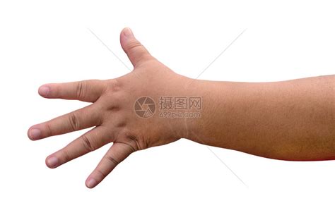 胖手图片