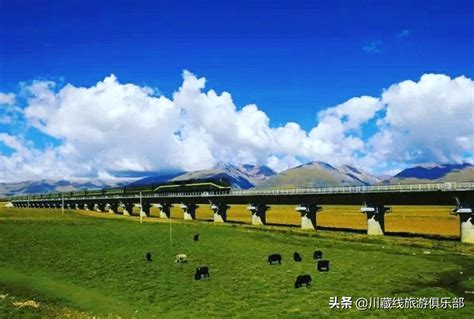 坐火车去西藏旅游是一种什么样的体验？为什么要坐火车去西藏旅游呢？去西藏的火车有哪些线路呢？火车进藏旅游全攻略，你值得拥有~~~~（上） - 知乎