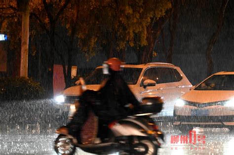 上海未来一段时间几乎每天“雨雨雨”！梅雨季节这种疾病要注意_手机新浪网