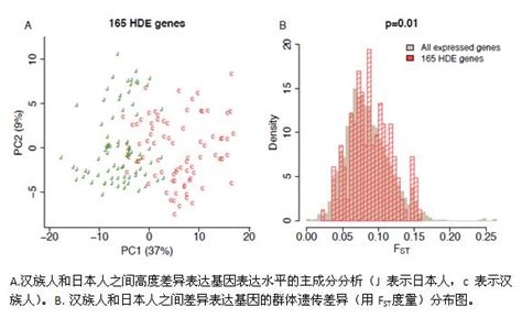 中国人基因库研究结果发表：汉族可分成7个亚群_科技_百灵网