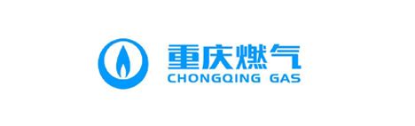 重庆燃气IPO-投资者交流会-中国证券网