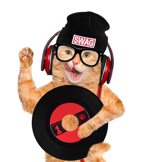 听音乐的小猫png图片免费下载-素材7iiPaVqjg-新图网