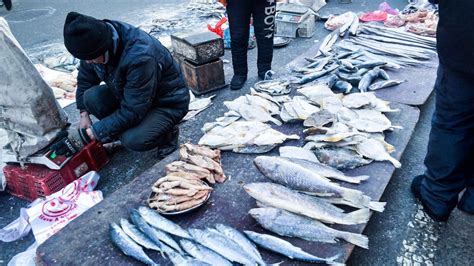 青岛有什么卖海鲜的码头？沙子口海鲜市场在哪里？什么区？