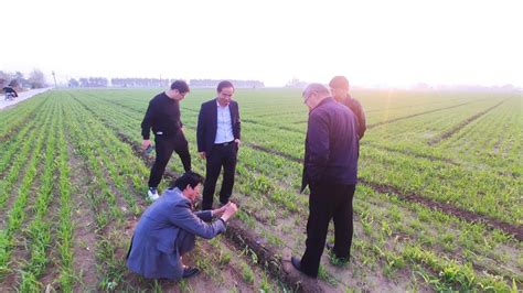 2023年农业重大技术协同推广计划项目现场会在徐州、扬州举行 -江苏农林职业技术学院