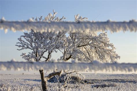 温冬冰霜加拿大萨斯喀彻温冰风暴危险高清图片下载-正版图片307291225-摄图网