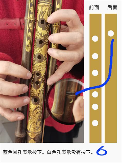 葫芦丝指法大全图谱 | 乐器教程网