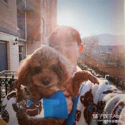 张航睿图片