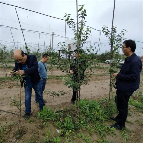 我所与河北省植保植检总站召开合作发展交流座谈会--河北省农林科学院植物保护研究所