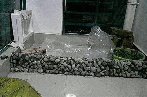 水泥制作一面玻璃鱼缸,家用水泥鱼缸,水泥制作鱼缸图(第3页)_大山谷图库