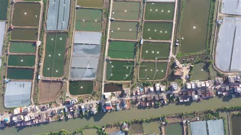 一个水产养殖场高清图片下载-正版图片600021293-摄图网